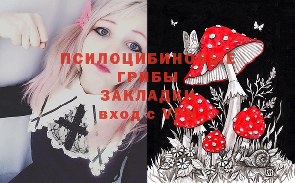 apvp Алексеевка