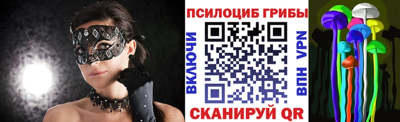 дарнет шоп  мега маркетплейс  Галлюциногенные грибы GOLDEN TEACHER  Дедовск 